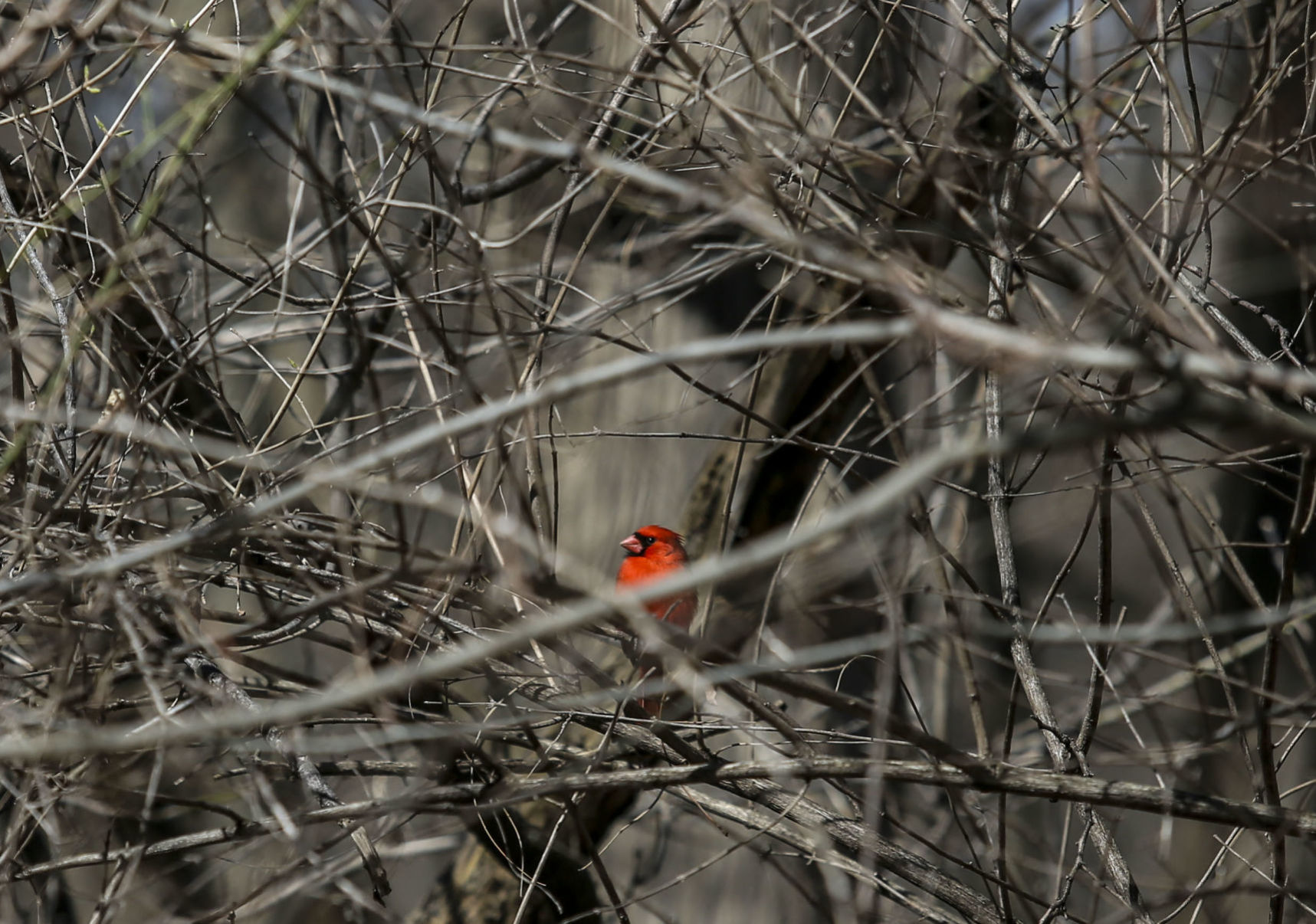 033020-standalone-qca-08.JPG